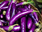 Eggplant (Talong)
